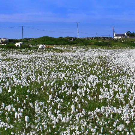 Holiday home An Caoran
